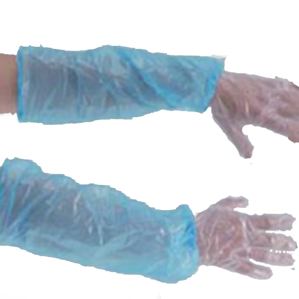 Disposable Vingl Gloves